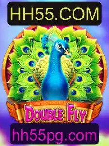Explorando o Universo do DoubleFly e a Plataforma HH55.COM